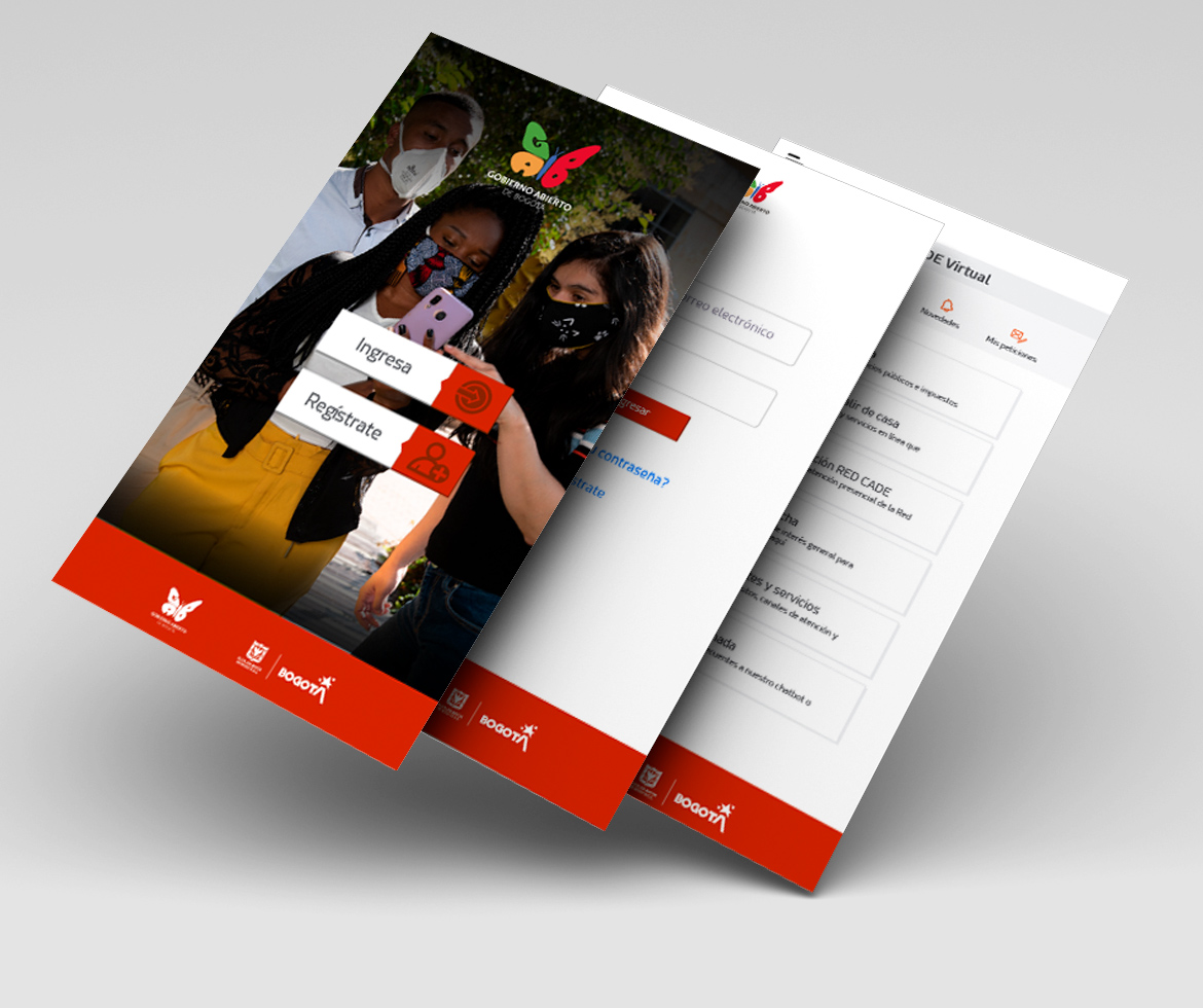 imagen pagina web Bogotá cuidadora - ejemplo 1