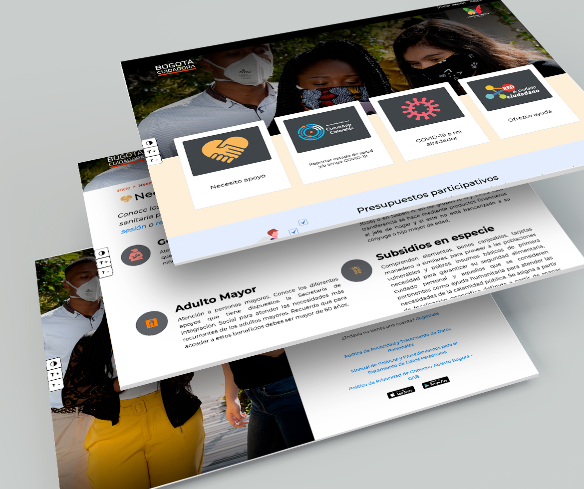 imagen pagina web Bogotá cuidadora - ejemplo 1